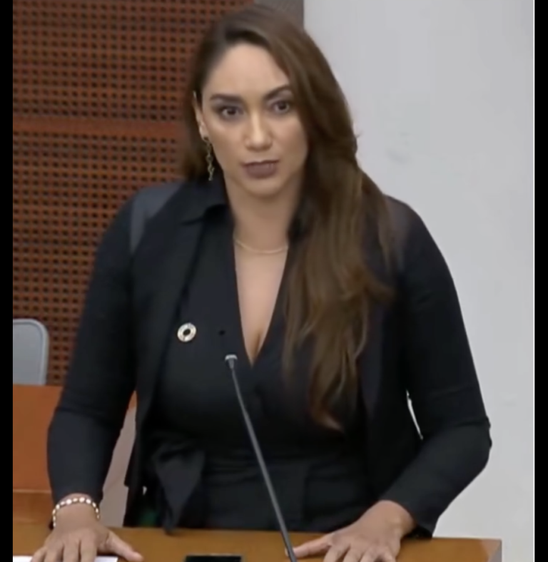 En pausa, 30 proyectos de energías renovables: Daniela Medina